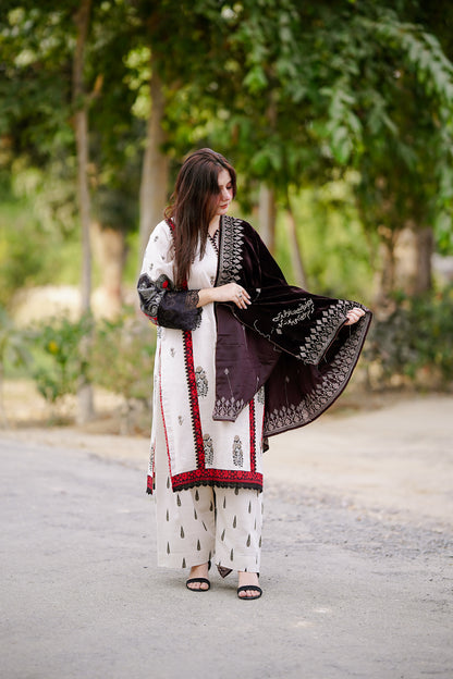 Chocolate Embroidered Velvet Shawl