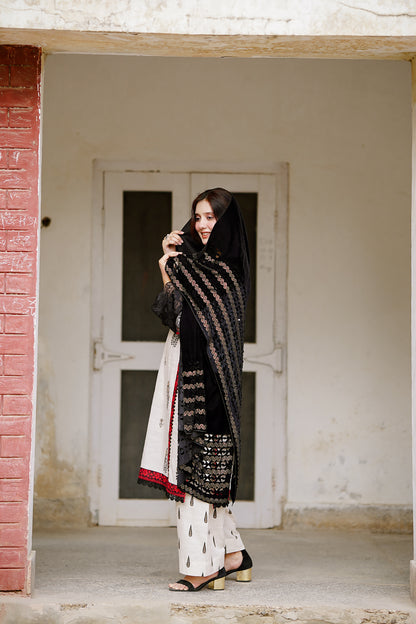 Black Cutwork Velvet Shawl
