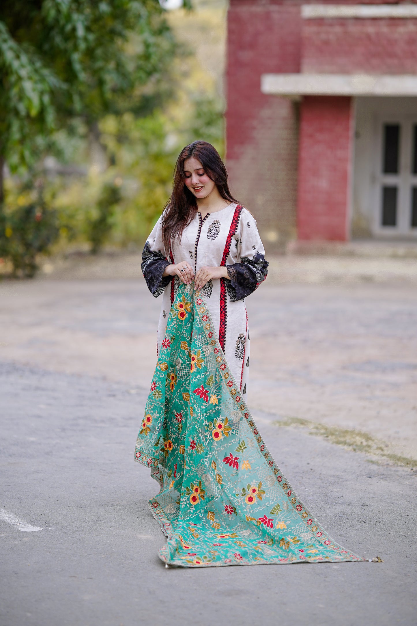 Light Blue Embroidered Chiffon Phulkari Shawl