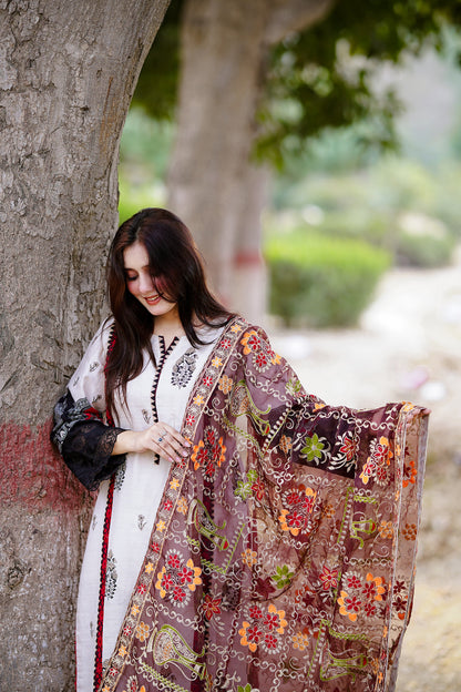 Red Embroidered Chiffon Phulkari Shawl